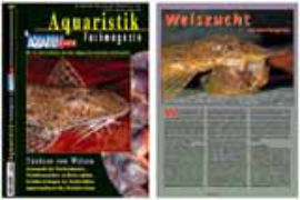 Aquaristik Fachmagazin - Dez. 04 - Jan. 05